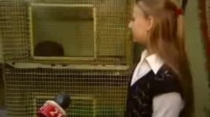 Спят ли ежики зимой