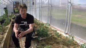 мульчирование свежескошенной травой