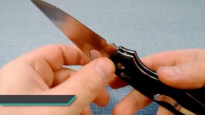 Ganzo G729/FireBird F729 - китайская Парамиля или просто хороший складной нож