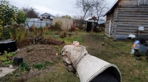 Замедленный Полет Птицы / Хищная птица в полете / Время Сокола