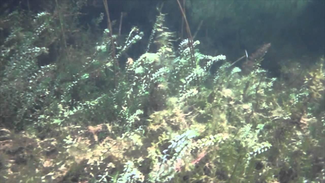 Фридайвинг на Озере Увильды