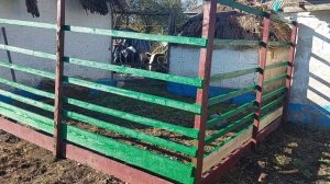 СТРОЙКА выгула ОКОНЧЕНА. ? довольны ?