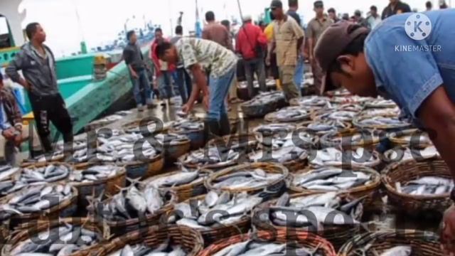 Constitution ( ഭരണഘടന ) Union, State, Concurrent List. കഥയിലൂടെ പഠിക്കാം.. ഇനിയൊരിക്കലും മറക്കില്ല смотреть онлайн