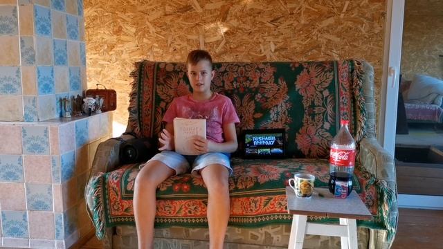 БЮДЖЕТНЫЙ ТЕРРАРИУМ ДЛЯ ЖИВОРОДЯЩЕЙ ЯЩЕРИЦЫ смотреть онлайн