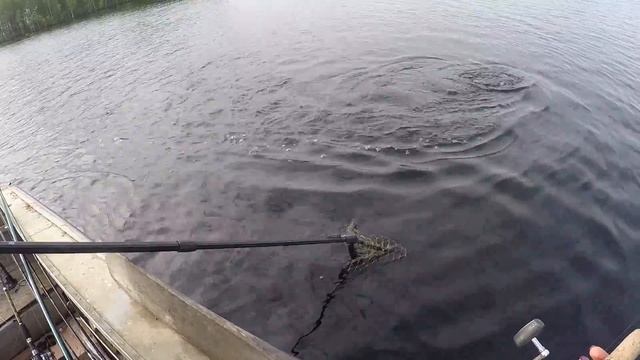 Самая Большая Щука в Моей Жизни | Как правильно тащить щуку смотреть онлайн