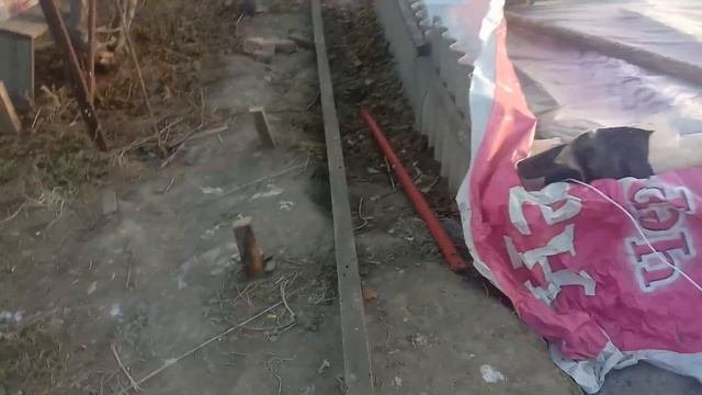 Большая Теплица для Бассейна за 20 т.р / Навес для Бассейна своими руками!