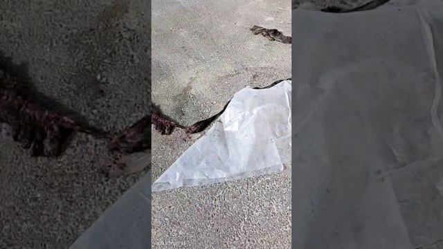 19 октября 2023 г. смотреть онлайн