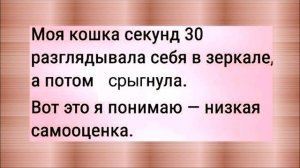 Ты чего такая ВЗВИНЧЕННАЯ? Что случилось?? ЗАБАВНЫЙ анекдот дня.