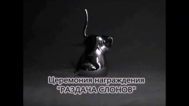 " Самара родина слонов" смотреть онлайн