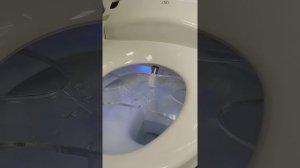 Демонстрация биде и краткий обзор