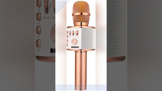 TOP 02: Best Portable Microphone Speaker 2022