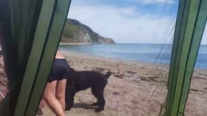 Бухта Дубовая и бухта  Кит.Наш отпуск 2021