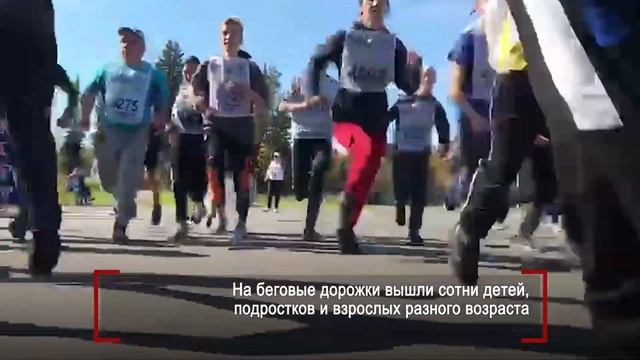 КРОСС НАЦИИ смотреть онлайн