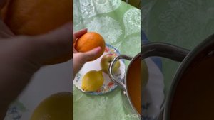 Чайный гриб Камбуча и ферментированные напитки из него