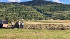 Норшен-Цхалтбила 2022г.Ուսկա