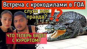 Гоа НИКОГДА не будет прежним! Крокодилы Средь Бела Дня в Гоа: Опасный Отдых или Просто Слухи?
