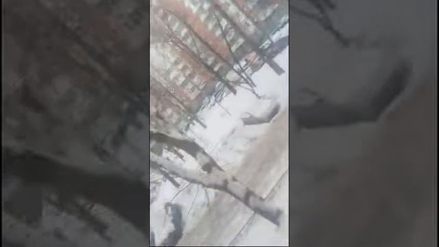 Скучно Делаю Математику смотреть онлайн