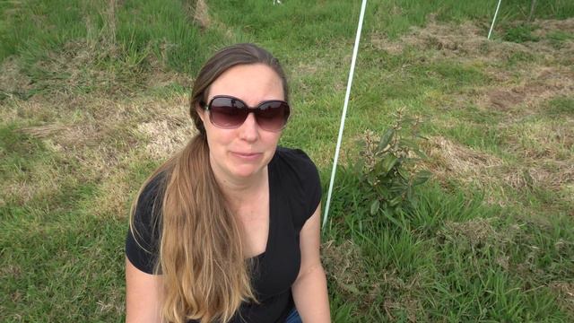 7 Plants To Support A Food Forest смотреть онлайн