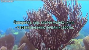 К чему снится Кислое молоко сонник, толкование сна