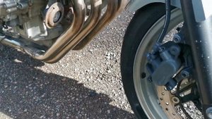 2008 Honda CBF 600 N in stock at Mototechniks