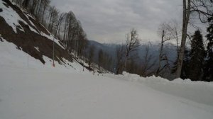 2024-03-05. Сочи. Красная поляна. Реликтовый лес (синяя)