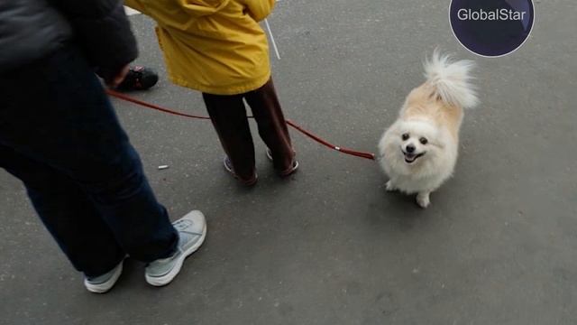 ㋛СТРИТ ФОТО.㋛ Как фотографировать на улице так, чтобы не нарваться на неприятности? смотреть онлайн