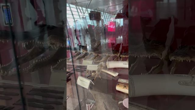 Ну и олени #зубарев #шутки #китай #юмор смотреть онлайн