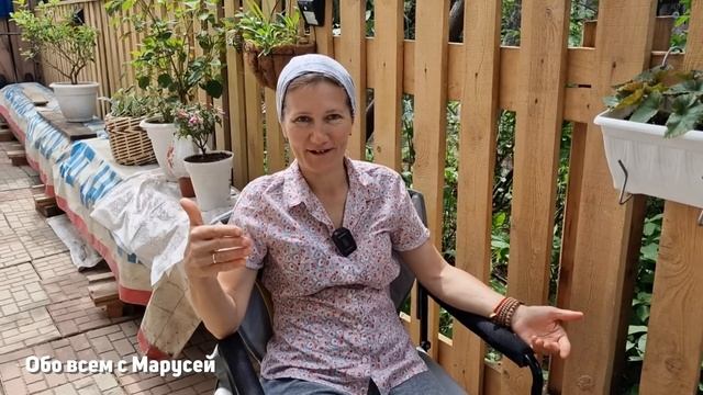 ТЛЯ И МУРАВЬИ ИСЧЕЗНУТ НАВСЕГДА ? НАРОДНЫЕ СРЕДСТВА БОРЬБЫ РАБОТАЮТ ЕСЛИ ДЕЛАТЬ ТАК@obovsemsmarusya