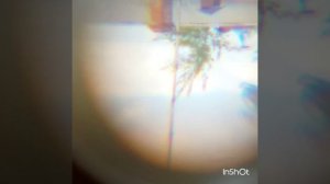 Самодельный телескоп ?