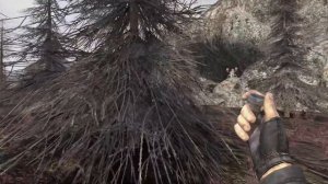 Х-18, Кейс Сидоровичу, Шкуры Ореху ? NLC 7 (3.9) STALKER (Стрим - 12)