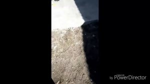 Обратный клапан на погружной насос