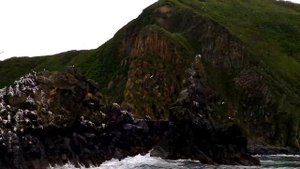 Кекуры острова Старичков..