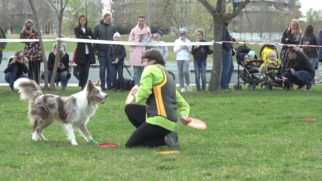 #СобакиКоторыеЛюбят.mp4
