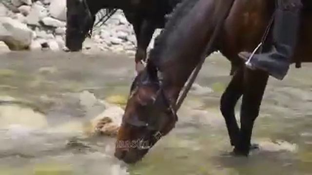 Балкарцы. Верхняя Балкария смотреть онлайн