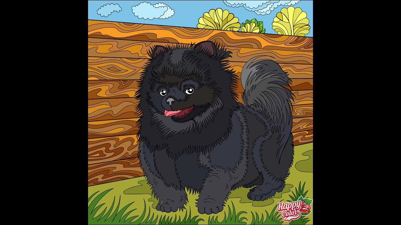 Животные 391-400