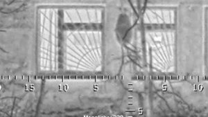 Снайперская работа в зоне СВО