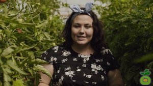 Томат Гелена - достойный отпор томатам из-за границы! #shorts