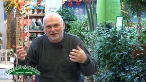 Вода для полива рассады, хлор, жесткость, кальций, магний в воде, температура воды, структурировани