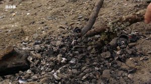 Ray Mears Cooks Seafood with Ancient Stone Age Method | Ray Mears' Bushcraft | BBC Earth Explore