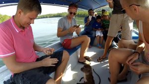 Дикая МАЛАЙЗИЯ - остров Лангкави и ЭКСКУРСИЯ в джунгли, кормление ската и обезьян. ЦЕНЫ на еду