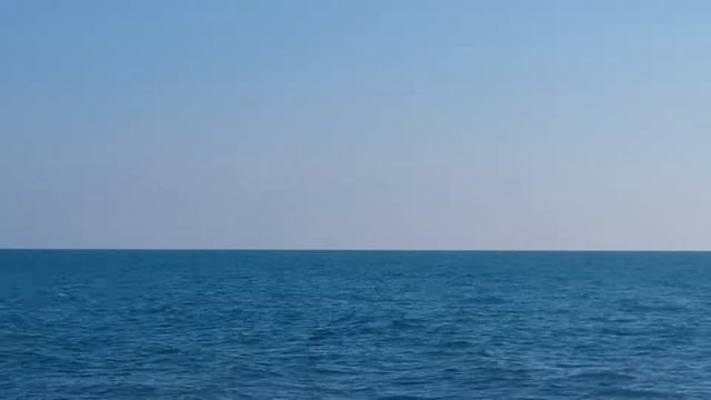 дельфины!!! Черное море 2017 смотреть онлайн