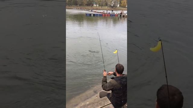 Kaida Prototype в руках Мастера смотреть онлайн