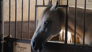 Нижний Новгород! Я бы сюда переехал.