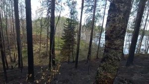 Рыбалка в Карелии июль 2021 года