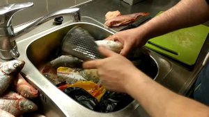 Как правильно разделывать и филировать рыбу!