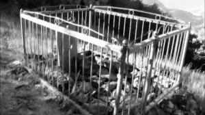 гора Святая, Карадаг