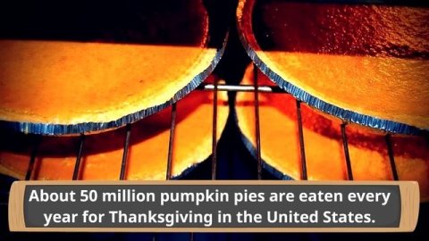 Thanksgiving for Kids