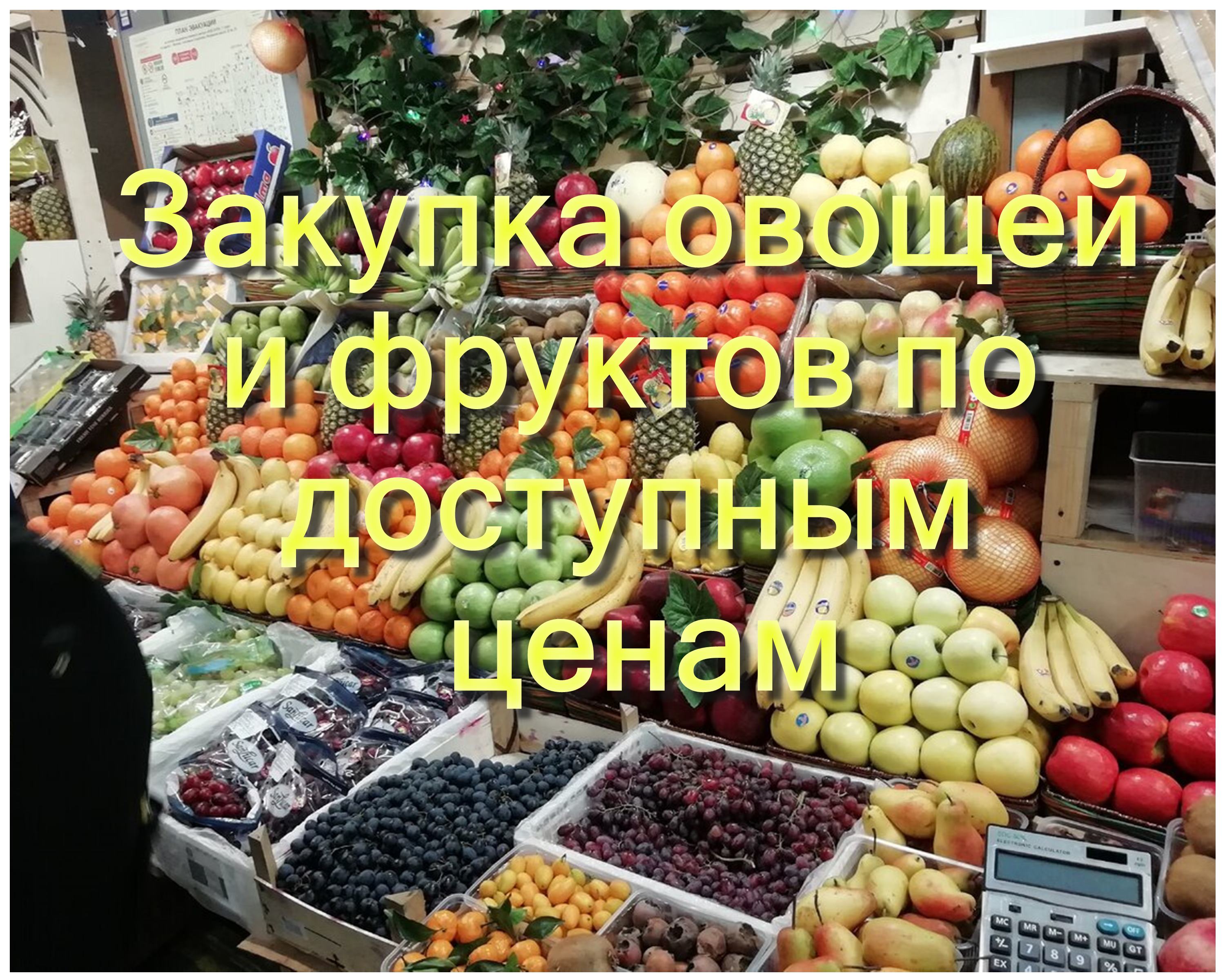 Купить Овощи И Фрукты В Краснодаре