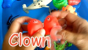 Animals for Kids | Learn Wild Zoo Animals and Sea Animals for Kids with Shark Toys | Color Kids