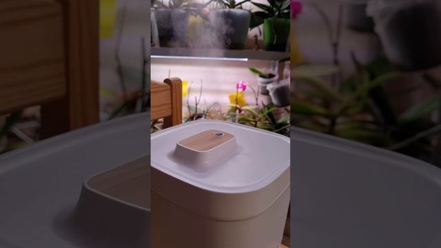 Прикупила новый увлажнитель воздуха на 4 литра. Играюсь и пищу от восторга! смотреть онлайн